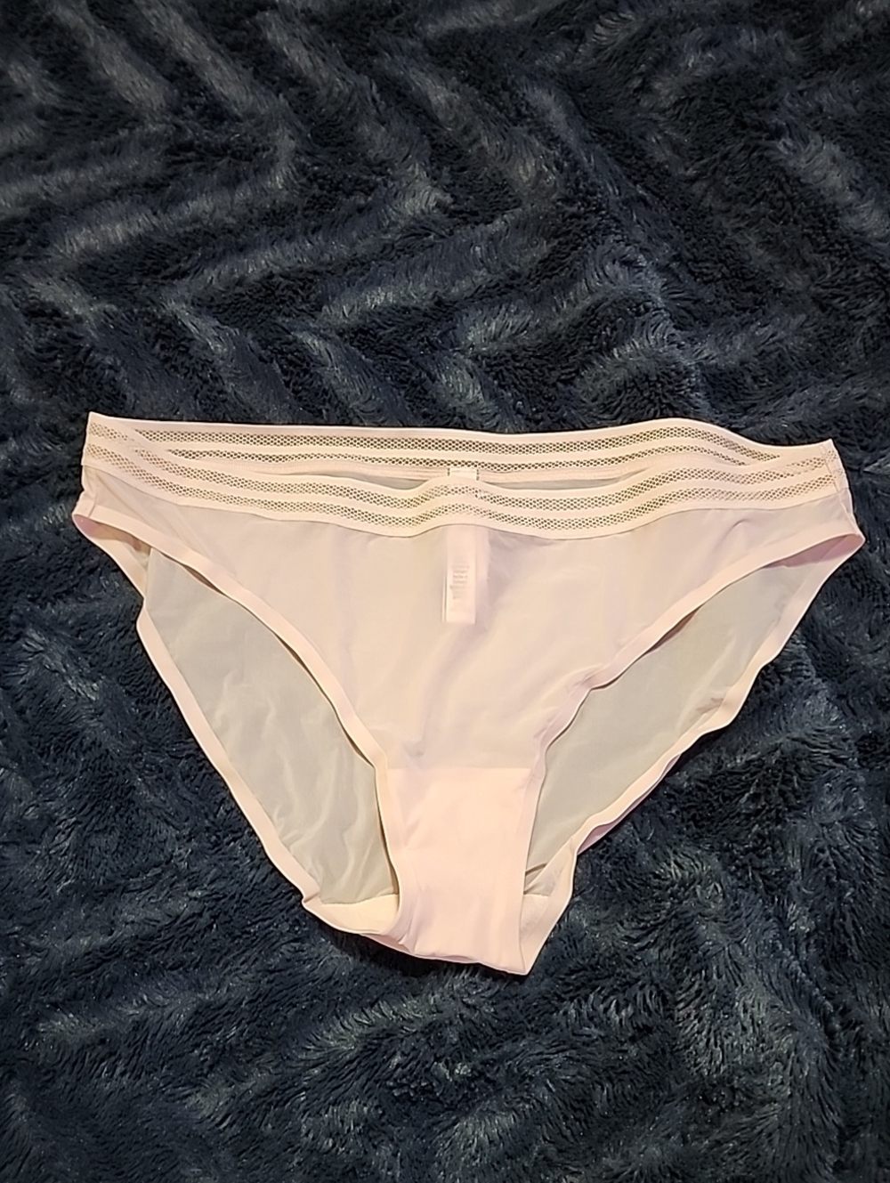 Victoria's Secret Pale Pink Lace-Trim Bikini Panties